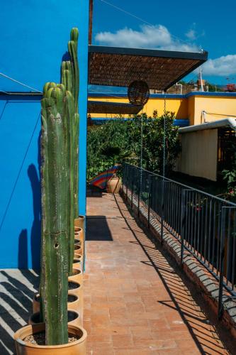 Balcony/terrace, Azul Cielo Hostel in Oaxaca