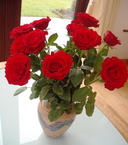 Maryville Bed and Breakfast - main image