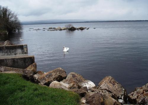 Maryville Bed and Breakfast - image 12