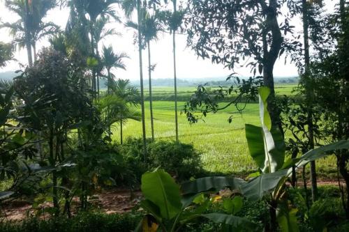 فيلا 500 متر مربع من 1 غرفة و1 حمام خاص في Panamaram (Wayal Wayanad Honey Moon villa) in Panamaram