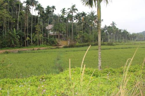 فيلا 500 متر مربع من 1 غرفة و1 حمام خاص في Panamaram (Wayal Wayanad Honey Moon villa) in Panamaram