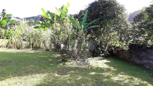 Jardín, Appartement charmant à Saint-Joseph avec jardin et terrasse, 60 m² (Appartement charmant a Saint-Joseph avec jardin et terrasse, 60 m²) in Saint-Joseph