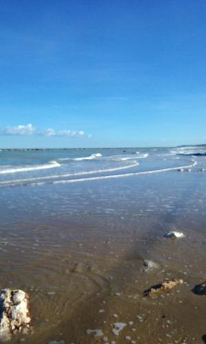 Apartment with one bedroom in Pescara with enclosed garden 100 m from the beach - image 6