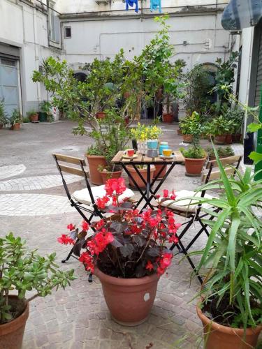 2 bedrooms appartement with furnished terrace and wifi at Napoli