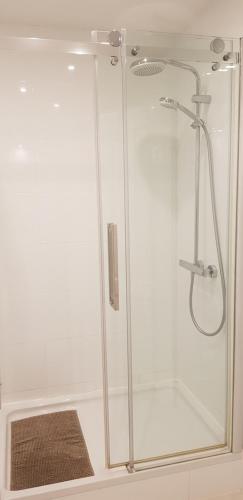 One-Bedroom Apartment image 4
