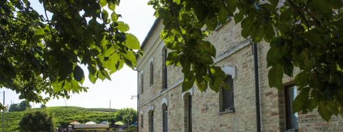 Spacious villa in Montecarotto with mountain view and pool