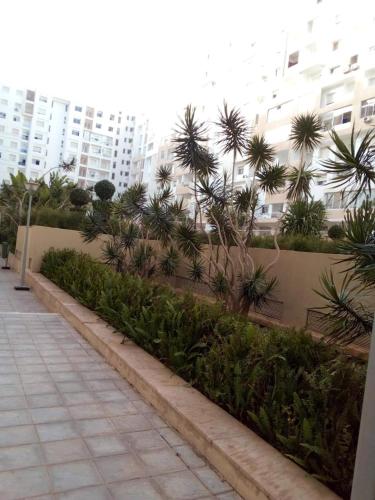 View, One bedroom appartement with shared pool furnished garden and wifi at Agadir 5 km away from the beac in Al Mohammadi