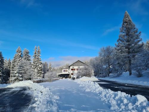 Зовнішній вигляд готелю, Hotel Winterberg Resort in Вінтерберг