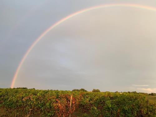 Clos des marais