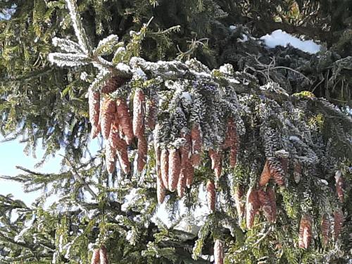 Appartements Lenzhofer in Gundersheim
