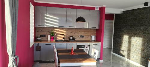 Apartament INDIA, Szklarska Poręba (photo 8)