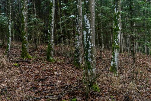 Fantastisch im Naturpark Altmühltal