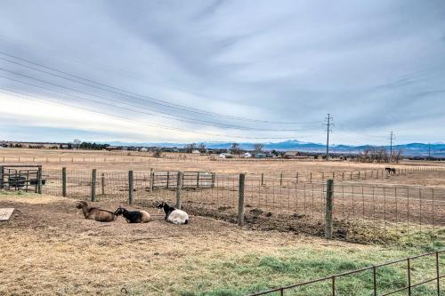 Lovely Barn Loft with Mtn Views on Horse Estate - image 3