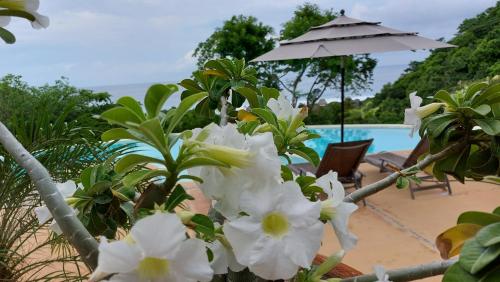 OceanoMar, Mazunte (foto 8)