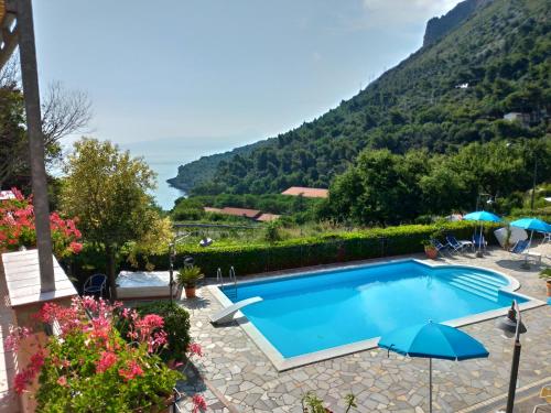 Bed & Breakfast Laino - Valle Salomone