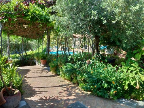 Bed & Breakfast Laino