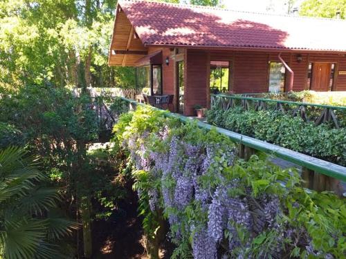 Mujer Rio Bed and Breakfast