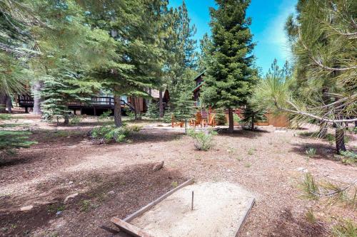 Tahoe Bear Den - main image