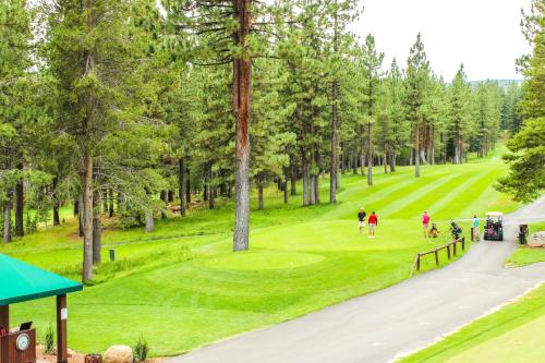 Tahoe Bear Den - image 2