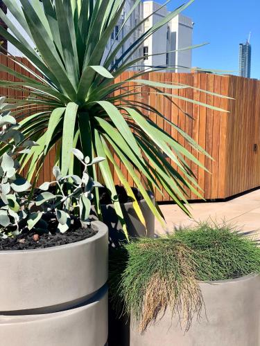 Regents Court Sydney - image 12