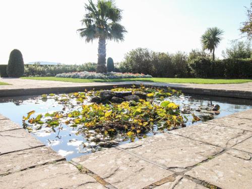 Castle Cove View - image 2