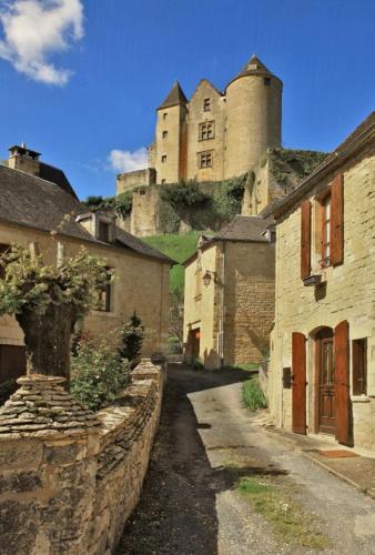 Petite maison en pierre au coeur du Périgord noir proche de Sarlat et Rocamadour