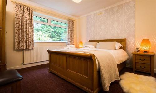 Nutwood - image 7