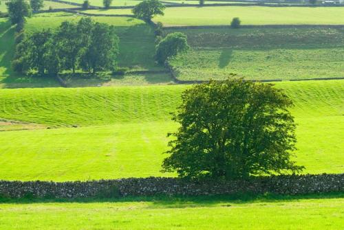 Cherry Tree Cottage at Satterthwaite