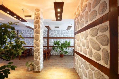 Guest House Ela - image 3