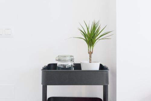 Hygge Apartment Center Near to the beach Free Parking 2R, Málaga (fotografie 9)