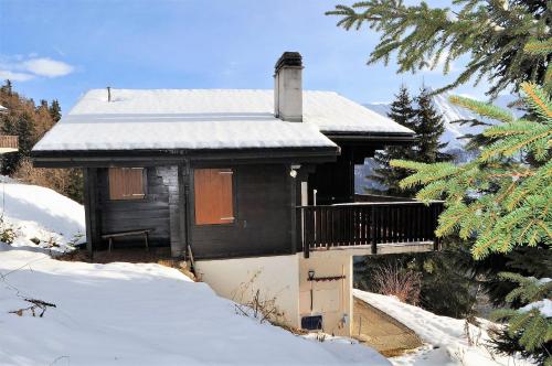  Brigerblick OG, Ferienwohnung in Bettmeralp