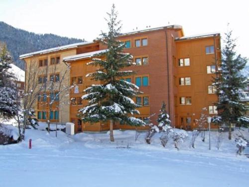  Eilander Sunshine in Fiesch