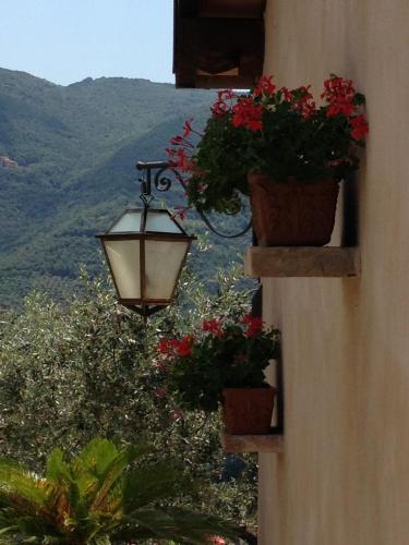 Agriturismo Collerisana - image 13