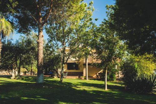 Villa Due Torri - image 4