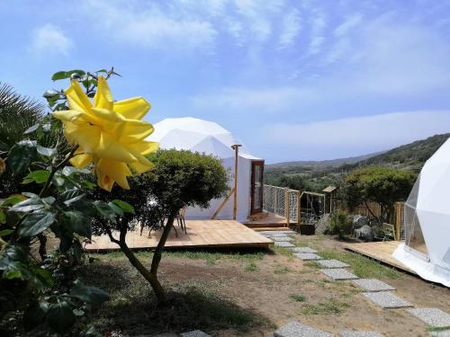 B&B Glamping Semaforo Capo Sperone