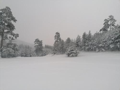 Garac Zlatibor Vikendica - image 2