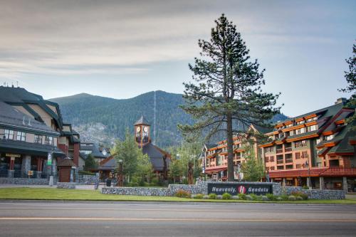 Tahoe Treetop Escape