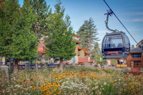 Tahoe Treetop Escape