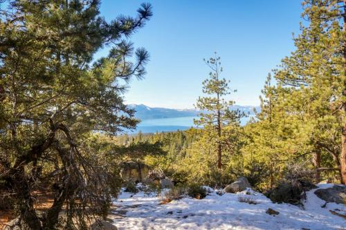 Tahoe Treetop Escape