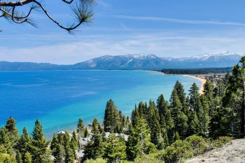 Tahoe Treetop Escape