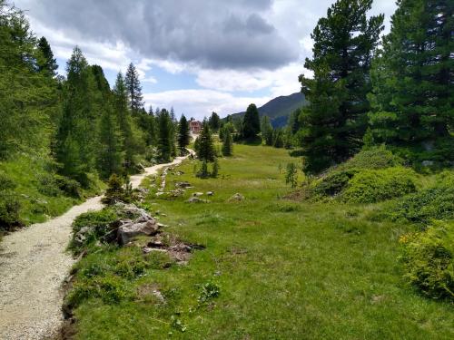 ALPENFLAIR Wellness Appartment mit Aussicht zum träumen