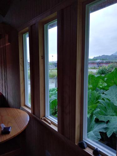 منظر, Fío Fío Patagonia (Fio Fio Patagonia) in Chaiten