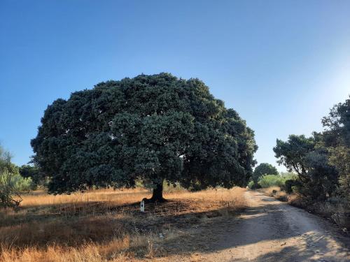 Alojamientos Rurales La Aldaba