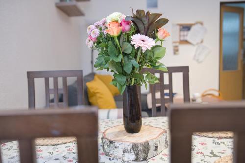Apartmán Pod Černou Horou (Apartman Pod Cernou Horou) in 史禾博達納德烏普