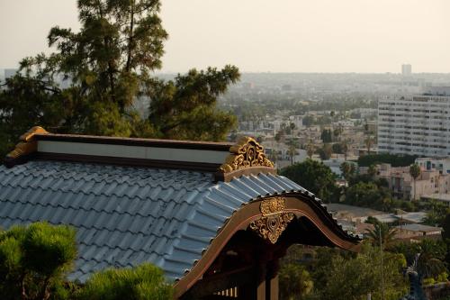 Hollywood Hills Hotel - image 7