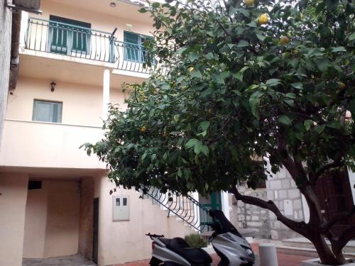 Apartments Doris, Split