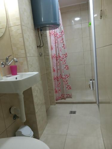 Apartment Pajevic - image 14