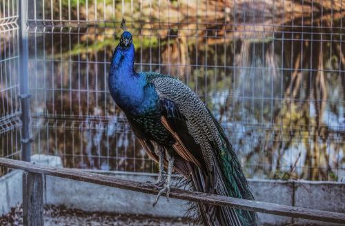 Rezydencja Luxury Hotel Bytom Piekary Śląskie