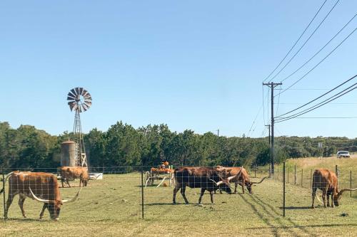 Modern Hill Country Cottage 13 Mi to Canyon Lake! - image 10