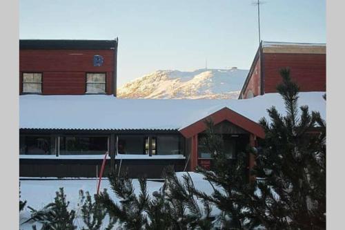 Stor barnevennlig leilighet